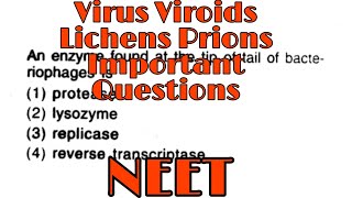 Biological Classification  Virus Viroids Lichens amp prions  Important Questions  NEET [upl. by Dumm]