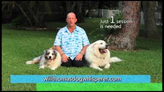 WILL THOMAS DOG WHISPERER rev1 [upl. by Shantha]