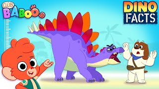 Club Baboo DinoFacts  Learn about Stegosaurus [upl. by Aihset585]