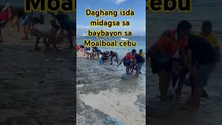 Isda midagsa sa Moalboal Cebu [upl. by Phillipp293]