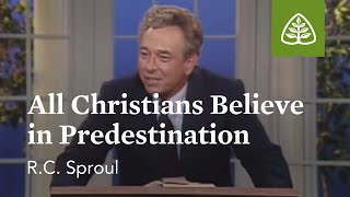 All Christians Believe in Predestination The Classic Collection with RC Sproul [upl. by Annaerdna]