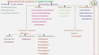 Antianginal agents [upl. by Carrillo]