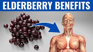 ELDERBERRY BENEFITS  13 Amazing Health Benefits of Elderberry❗️ [upl. by Eniahs]