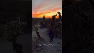 Sunset at Saguaro National Park Arizona nationalpark saguaro [upl. by Evvy]