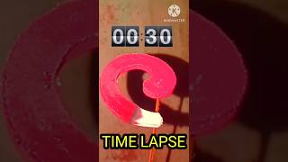 time lapse of mosquito coil [upl. by Naeerb]