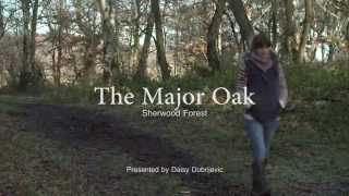 Sherwood Forest  An Introduction To The Major Oak [upl. by Beyer]