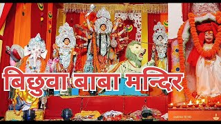 BICHHUA Baba Mandir ❤🙏Mughalsairai Loco colony shortsfeed youtubevideos explore bichhuva baba [upl. by Adnarb40]