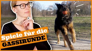 Bindung zum Hund beim Spazierengehen stärken I 3 Tipps für die Auslastung beim Gassigehen [upl. by Marcia]