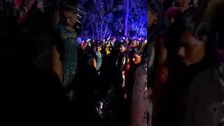 adivasi tarpa song dj remix adivasi song dj remix full bass [upl. by Accber969]