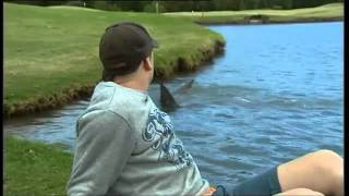 Killer Sharks Invade Golf Course In Oz [upl. by Gunner]