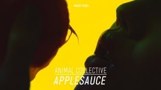 Animal Collective  quotApplesaucequot Official Music Video [upl. by Phemia]