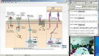 Immune Receptors and Signal Transduction Christina Ciaccio MD [upl. by Josephina740]