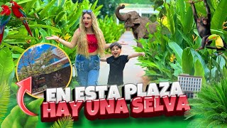 Esta PLAZA se CONSTRUYO en una SELVA😱plaza EN CULIACAN🤗 los politenis [upl. by Bonucci]