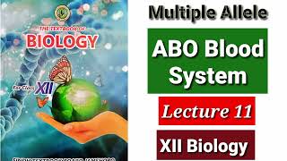 Multiple Alleles and ABO Sustem Lecture 11 [upl. by Ynoep]