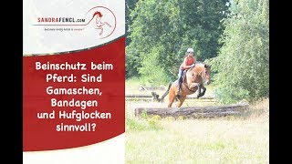 Beinschutz beim Pferd Sind Gamaschen Bandagen und Hufglocken sinnvoll [upl. by Esnofla]