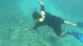 Snorkeling in the Florida Keys  Coffins Patch Reef [upl. by Castro18]