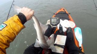 Kayak Fishing Porlock Bay [upl. by Danice]