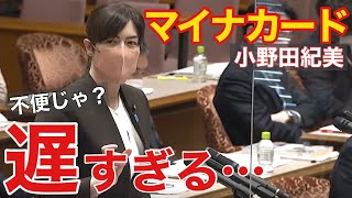 【小野田紀美】マイナンバーカード発行手続き遅すぎませんか今のままでは他カードとの連携は難しいカード一体化した人が不便になる様では困る自身の岡山PRも忘れないmy number card [upl. by Tinya580]