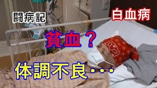 【白血病】貧血ですか？それとも？【闘病記】入院２０日目～２２日目 [upl. by Ibbison]