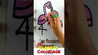 Coloriage Flamands roses vidéo éducative amp Planète coloriage [upl. by Zorana]