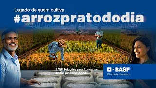 BASF Na Agricultura [upl. by Ewnihc426]