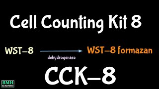 Cell Counting Kit8  CCK8  Cell Proliferation amp Cytotoxicity Assay  WST8 assay [upl. by Kyred369]