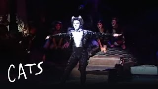 Mr Mistoffelees Jhean Allex  Brazil  Cats the Musical [upl. by Townie]