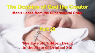 The Divine Act of Creation 25 Fate of Children Dying in the State of Original Sin [upl. by Ellery523]