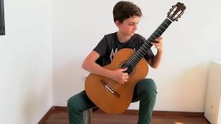 Estudio op 31 no 15 by Fernando Sor played by Dragoș Popa [upl. by Assert530]