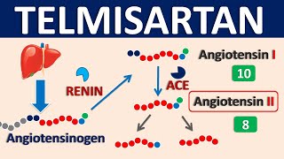 Telmisartan  Mechanism side effects precautions amp uses [upl. by Neenwahs249]