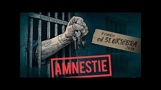 Amnestie  Official Trailer 2019 [upl. by Oria940]