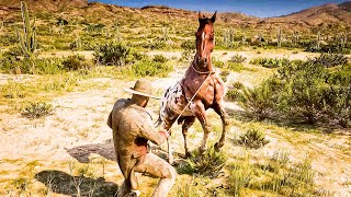 Rare Appaloosa horse Location rdr2 [upl. by Amron]