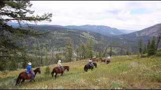 Teton Wilderness BridgerTeton National Forest [upl. by Ellertal425]