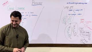 GENE LINKAGE  LINKAGE GROUPS  HOMOLOGOUS and NON HOMOLOGOUS CHROMOSOMES [upl. by Hasile]