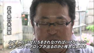 検証 ぴーかんテレビ不適切放送～なぜ私たちは間違いを犯したのか～ 15 [upl. by Margaretta70]