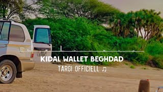 aghaly tamikrest  Kidal Wallet Beghdad [upl. by Nylorak250]