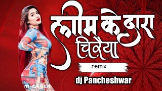 Lim ke dara  लीम के डारा  cg new dj  cg dj song  dj Pancheshwar  cgnewsong [upl. by Nohpets]