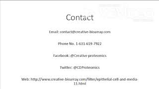 The Complete Guide to Know The Difference Between Epithelial Cells and Endothelial Cells [upl. by Ical]