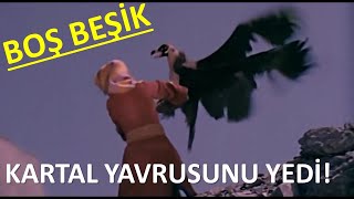 FATMA GİRİK İN YAVRUSUNU KARTAL KAPIYOR  BOŞ BEŞİK İZLE [upl. by Milon]