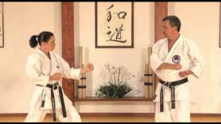 Trailer Wado Ryu Karate with Roberto Danubio 6 Dan Vol 2 [upl. by Casteel]