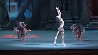 前奏「ラ・バヤデール」スミルノワ＆チュージン、ボリショイ劇場 quotLa Bayaderequot Smirnova amp Chudin Bolshoi Ballet [upl. by Rheinlander744]