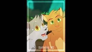 Firepaw and Graypaw edit [upl. by Llenel222]