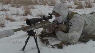 Predator Hunting SUPPRESSED™ quotSnow Stormquot [upl. by Yrak]