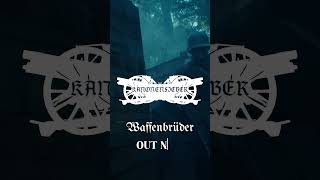 New single Waffenbrüder by KANONENFIEBER out now 🔥🔥 shorts kanonenfieber [upl. by Salem]