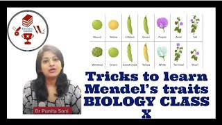 Mendels seven traitsMendels laws Dominant and recessive traits class 10 Science Biology CBSE [upl. by Elicia]