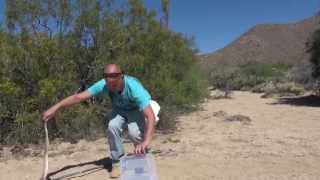 Arizona Rattlesnake Roundup [upl. by Yerrot]