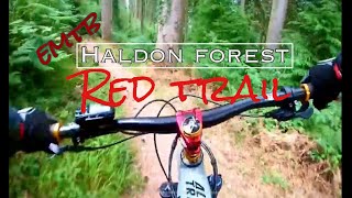 Haldon forest Red trail MTB [upl. by Kcirdderf]