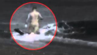 Killer Whale Attacks Man On Beach  WARNING Graphic [upl. by Norved414]