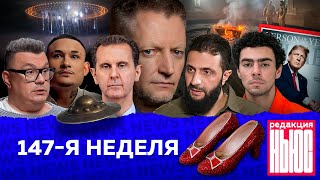 Редакция News 147я неделя [upl. by Ansilma]