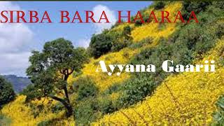 New Oromo Music Sirba Bara Haaraa Afaan oromoo bara 20152022 [upl. by Eynahpets]